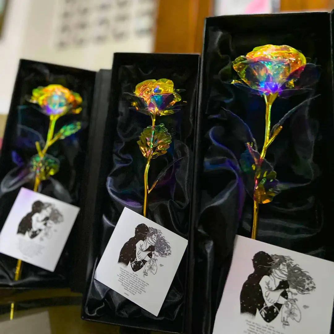 Rosa Galáxia Banhada a Ouro - Pague 1 e Leve 5 de BRINDE  - O Presente Perfeito!
