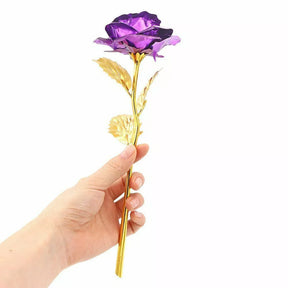 Rosa Banhada a Ouro + Caixa [Roxo]